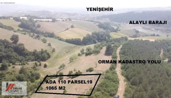 YENİŞEHİR MANZARALI UYGUN YOLLU TARLA